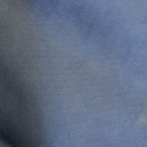 Meet your Posher, Louis